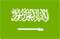 اختيار لغة الدردشة
